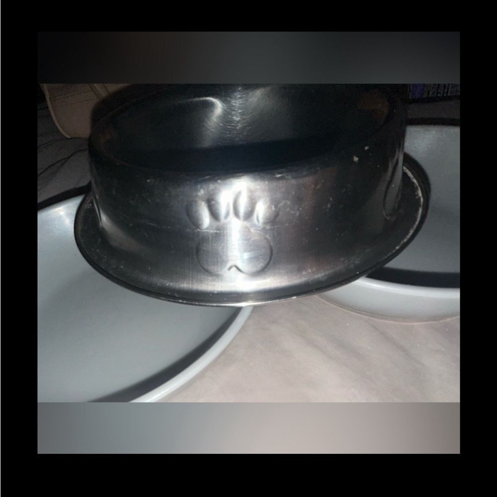 SMALL PET DISH